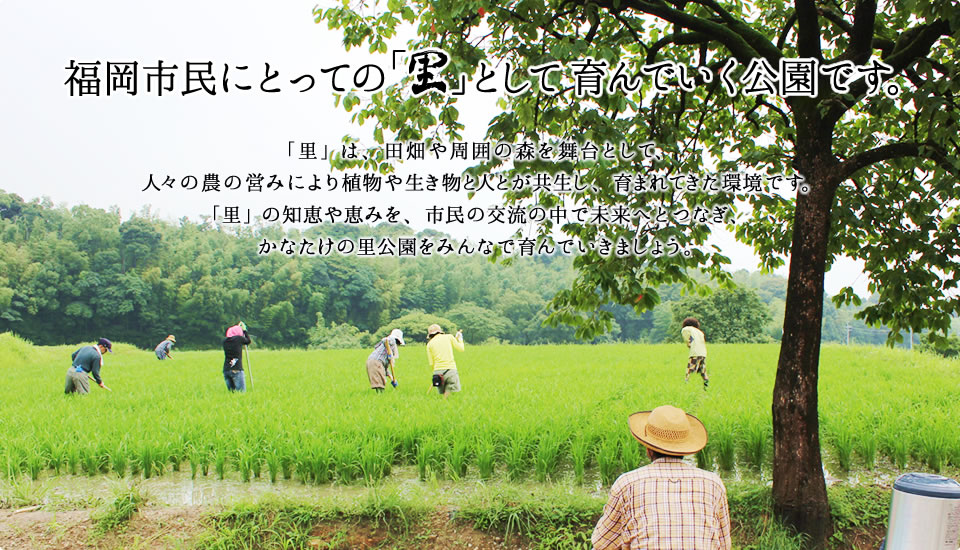 福岡市民にとっての「里」として育んでいく公園です。