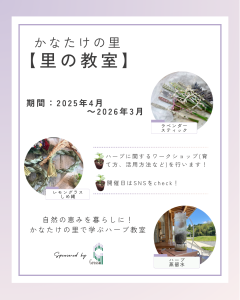 里の教室開催告知バナー(sns45)